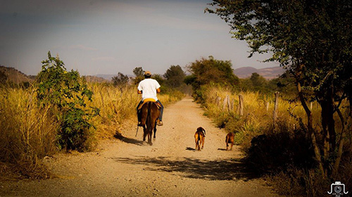 Aumenta la actividad agrícola en Ahuacatlán