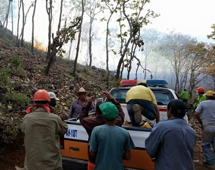 Combaten primer incendio forestal en la zona sur