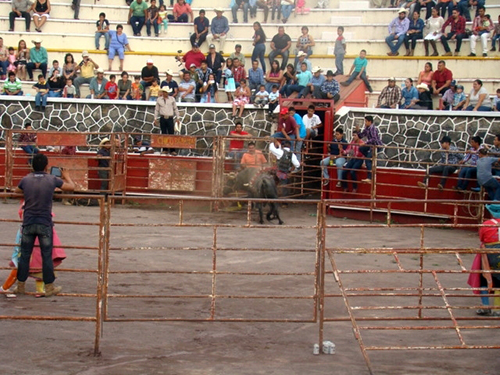 Le salió mal la monta a “Nayarita”