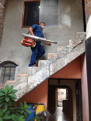 SS coloca ovitrampas en Ixtlán