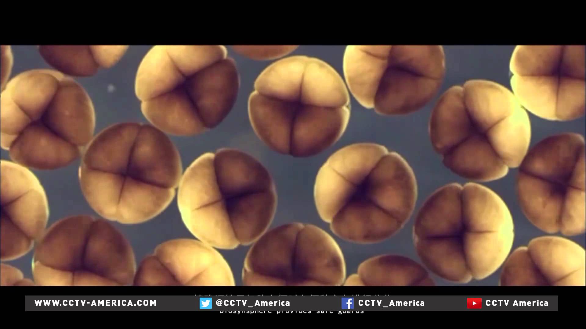 Avanza la impresión 3D de órganos