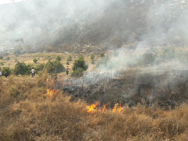 Provocan incendio en parcelas del diputado Carlos Carrillo