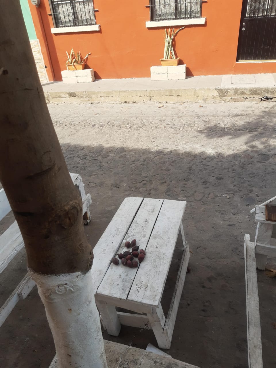 Conmociona parricidio a los ixtlenses