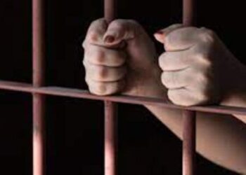 Del otro lado de las rejas