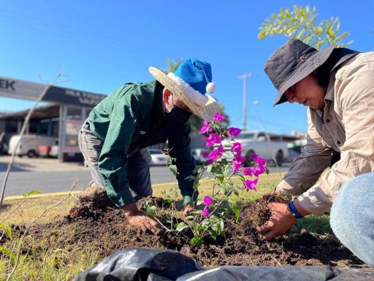 Trabaja gobierno de Ixtlán para embellecer la ciudad