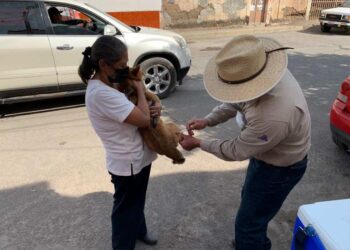 Buena respuesta en campaña de vacunación antirrábica