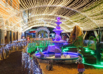 Inicia retiro de adornos navideños en Ixtlán