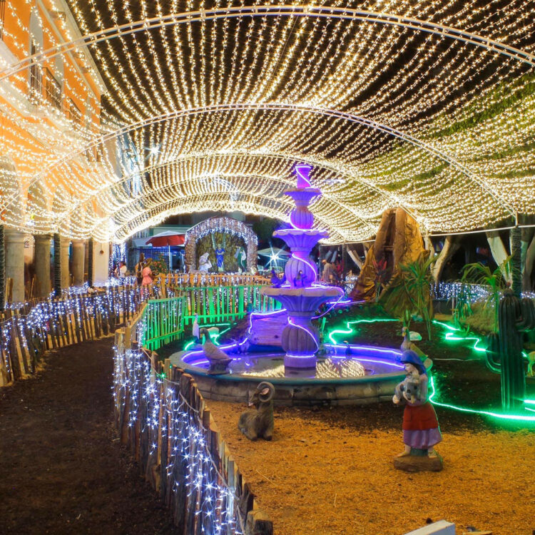 Inicia retiro de adornos navideños en Ixtlán