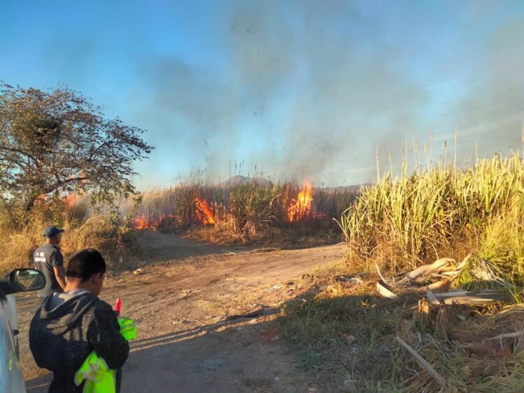 Sofoca Protección Civil incendios en Ahuacatlán