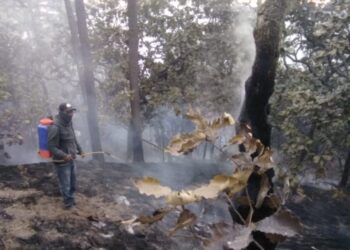 Protección Civil de Jala combate incendio en la sierra