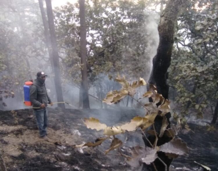 Protección Civil de Jala combate incendio en la sierra