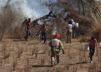 Incendios de pastizales moviliza a grupos de rescate, en Amatlán