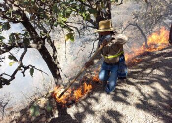 Presente Jala en Gala Puerto Vallarta — Riviera Nayarit