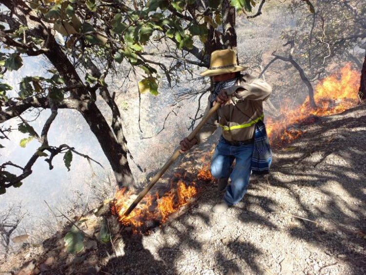 Presente Jala en Gala Puerto Vallarta — Riviera Nayarit