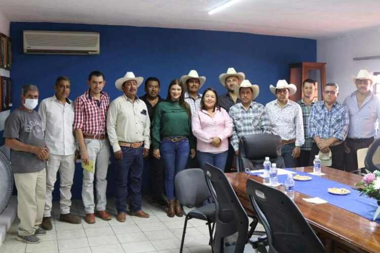 Bachean principales calles de Ahuacatlán