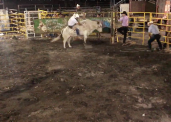 Jinete lesionado en jaripeo de ayer ya se recupera en casa ￼