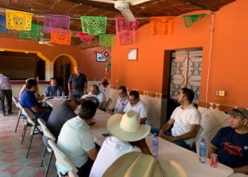 Producirán semilla certificada de maíz y de frijol negro amapa, en Ahuacatlán