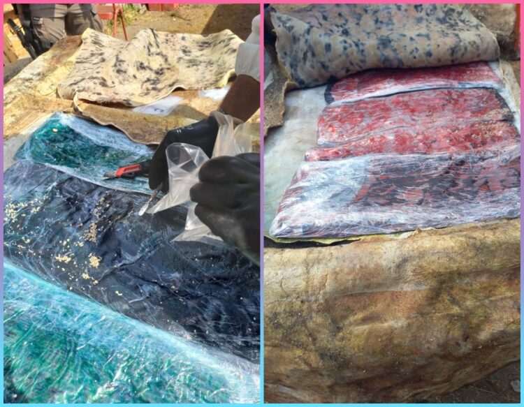 ￼ En mayo la FGR da golpe contra la delincuencia organizada deteniendo a varios sujetos