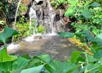 Las Tinajas de Santa Isabel: ¿Debería ser sólo un santuario?