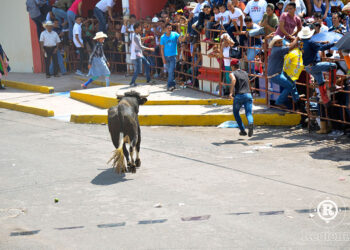 ¡Todo listo para la ahuacatlanada!