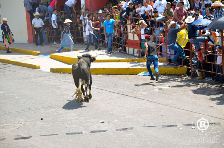 ¡Todo listo para la ahuacatlanada!