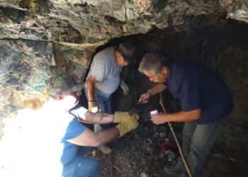 Atrapan en Ahuacatlán 23 murciélagos hematófagos