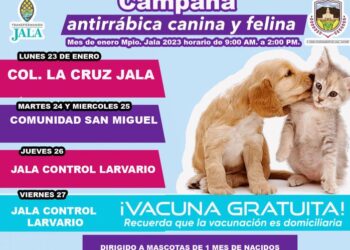 Invitan a vacunar perros y gatos contra la rabia en Jala