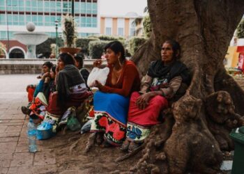 Priorizará Congreso leyes por la niñez, mujeres y pueblos indígenas