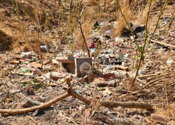 Multarán a quienes tiren basura en carretera y caminos vecinales