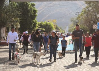 Primera caminata canina en Jala resultó todo un éxito