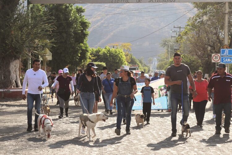Primera caminata canina en Jala resultó todo un éxito