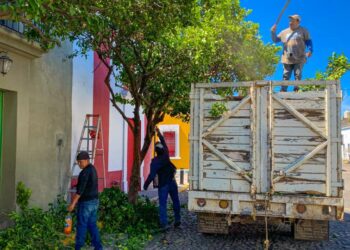 Con poda de árboles mejora imagen del Pueblo Mágico de Jala 