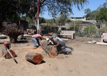 Dan “manita de gato” a la Unidad Deportiva de Ahuacatlán