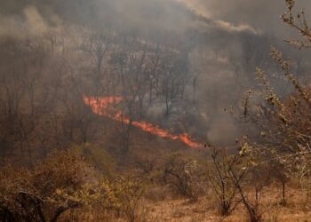 ¡Arde el sur!; las altas temperaturas mantienen en jaque a la población 