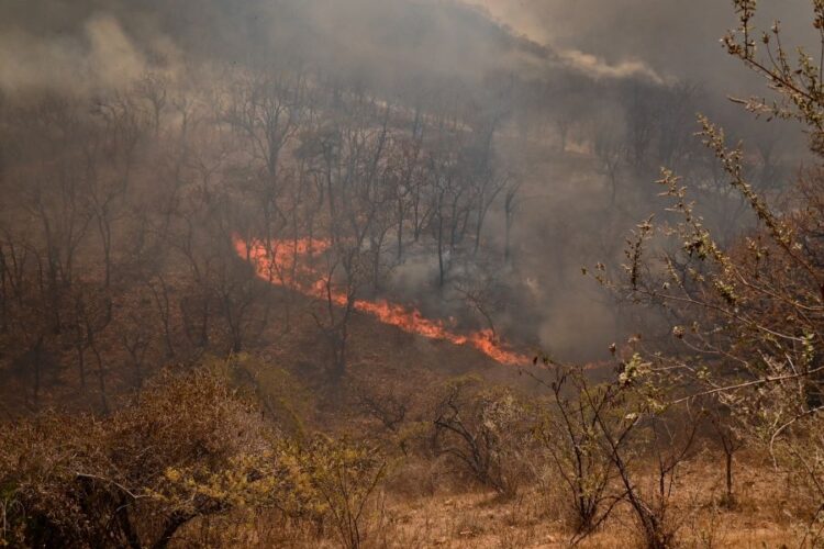 ¡Arde el sur!; las altas temperaturas mantienen en jaque a la población