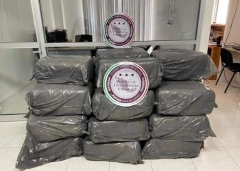 Asegura Fiscalía General de la República cargamento de marihuana