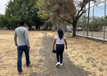 Gobierno de Ahuacatlán previene riesgos por árboles secos y panales