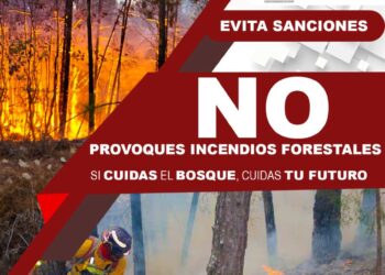 Gobierno de Ahuacatlán previene riesgos por árboles secos y panales