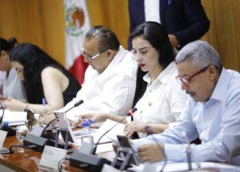 Pionero Congreso de Nayarit en castigo a deudores alimentarios