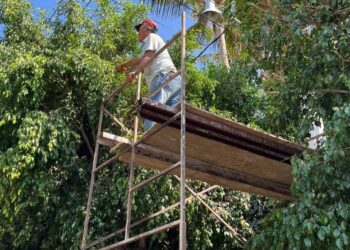 Gobierno de Ahuacatlán limpia bulevar y poda árboles de la secundaria federal