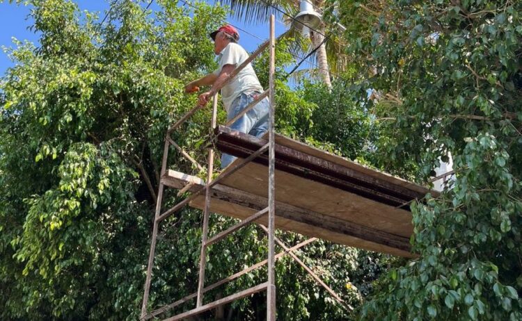 Gobierno de Ahuacatlán limpia bulevar y poda árboles de la secundaria federal