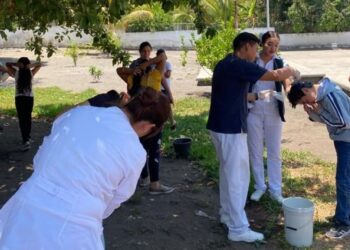Realizan campaña de pediculosis en escuela primaria de Valle Verde