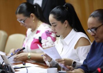 Tipificará Congreso la discriminación como delito