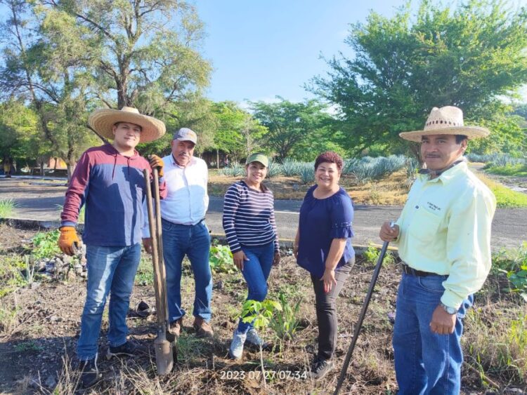 Exitosa jornada de reforestación en el Mirador El Ceboruco, en Ahuacatlán