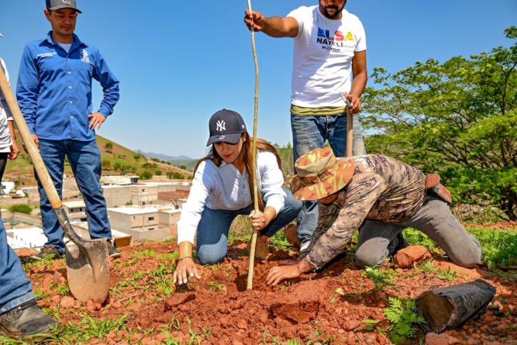 Gobierno de Ixtlán impulsa proyecto de reforestación en la colonia “Emiliano Zapata»