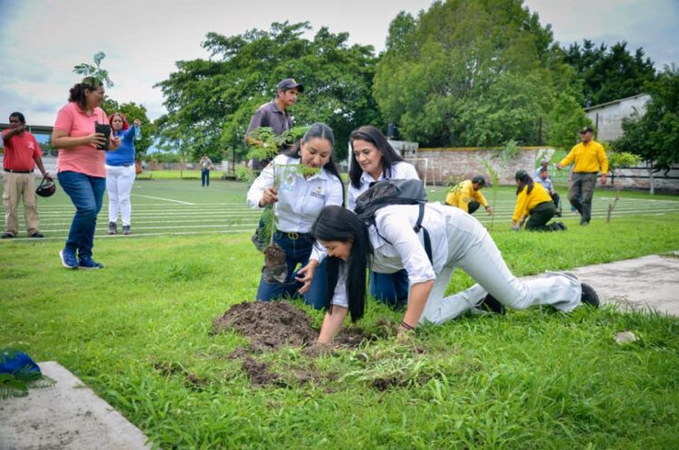 Casa de la Cultura de Jala realiza jornada de reforestación