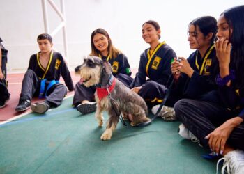Clausura DIF estatal curso de verano PAMAR 2023