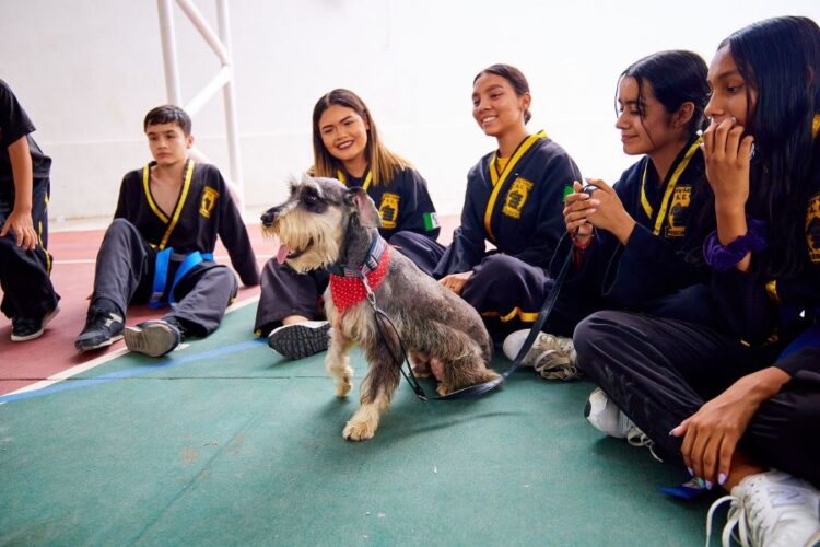Clausura DIF estatal curso de verano PAMAR 2023