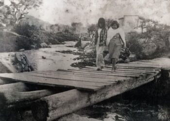 Nayarit: De la artesanía a la transformación