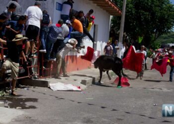 Seis vaquillas de casta en “ahuacatlanada 2023” este viernes en Ahuacatlán